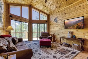 TV, fireplace, video games, DVD player