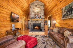 TV, fireplace, video games, DVD player