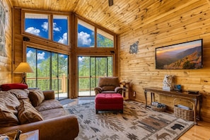TV, fireplace, video games, DVD player