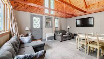 TV, fireplace, DVD player, books