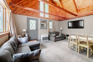 TV, fireplace, DVD player, books