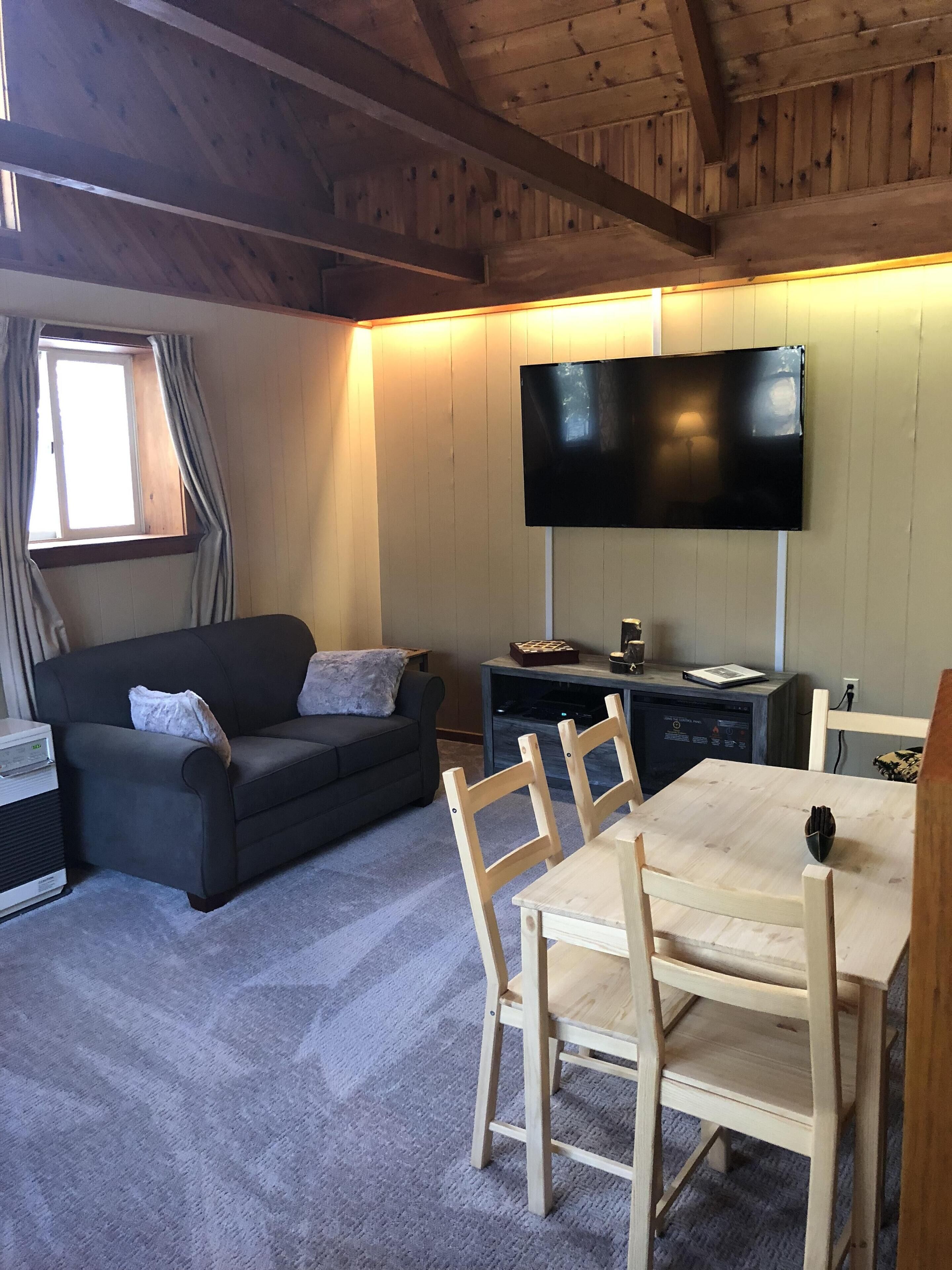 电视、壁炉、DVD 播放器、书