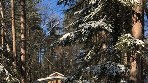 Un bosque cubierto de nieve con una pequeña estructura de madera, tal vez una cabaña o un pabellón, rodeado de árboles altos.