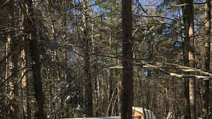 Un bosque nevado con una estructura cubierta, probablemente una cabaña o una casa pequeña, rodeada de altos árboles.