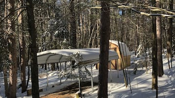 Une forêt enneigée avec une structure abritée, probablement une cabane ou une petite maison, entourée de grands arbres.