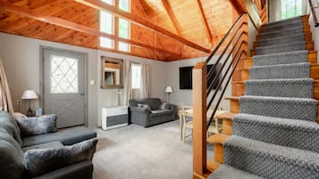 TV, fireplace, DVD player, books