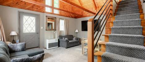 Televisión, chimenea, reproductor de DVD, libros