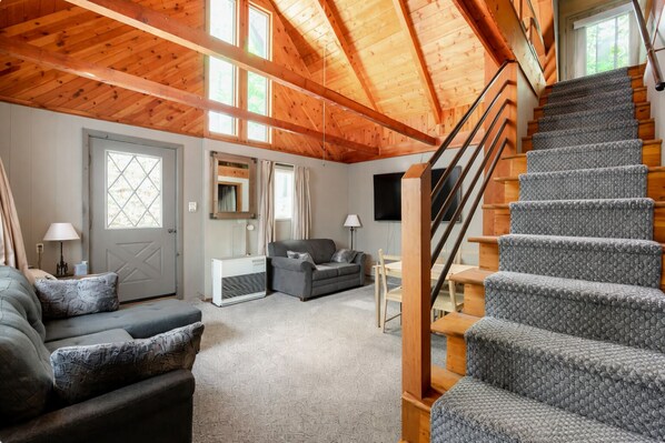 TV, fireplace, DVD player, books