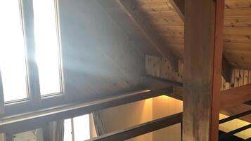 Télévision, cheminée, lecteur de DVD, livres