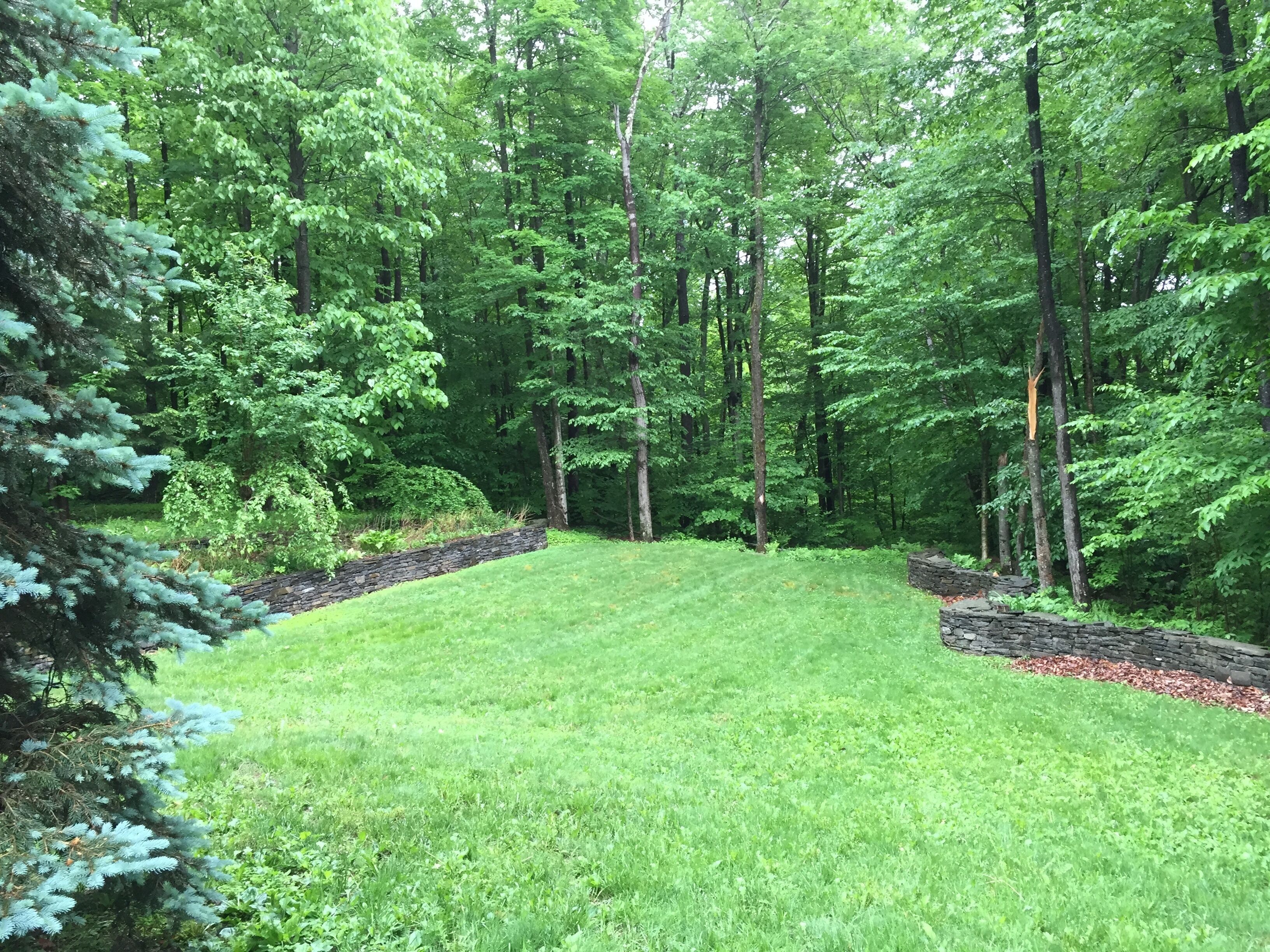 A lush green lawn surrounded by dense trees.