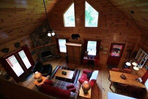 TV, fireplace, video games, DVD player