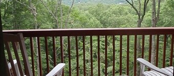 AS SEEN ON HGTV LOG CABIN LIVING USD150.00 GAME ROOM 