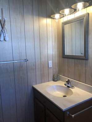 Combined shower/bathtub, hair dryer, soap, toilet paper