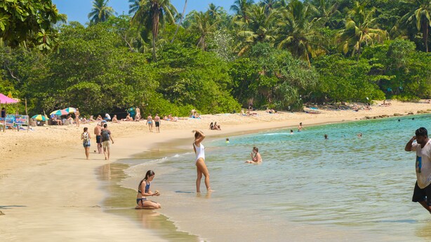A beach with people sunbathing and swimming, surrounded by palm trees and clear blue water. - Crystal Resort Dickwella (Dikwella)