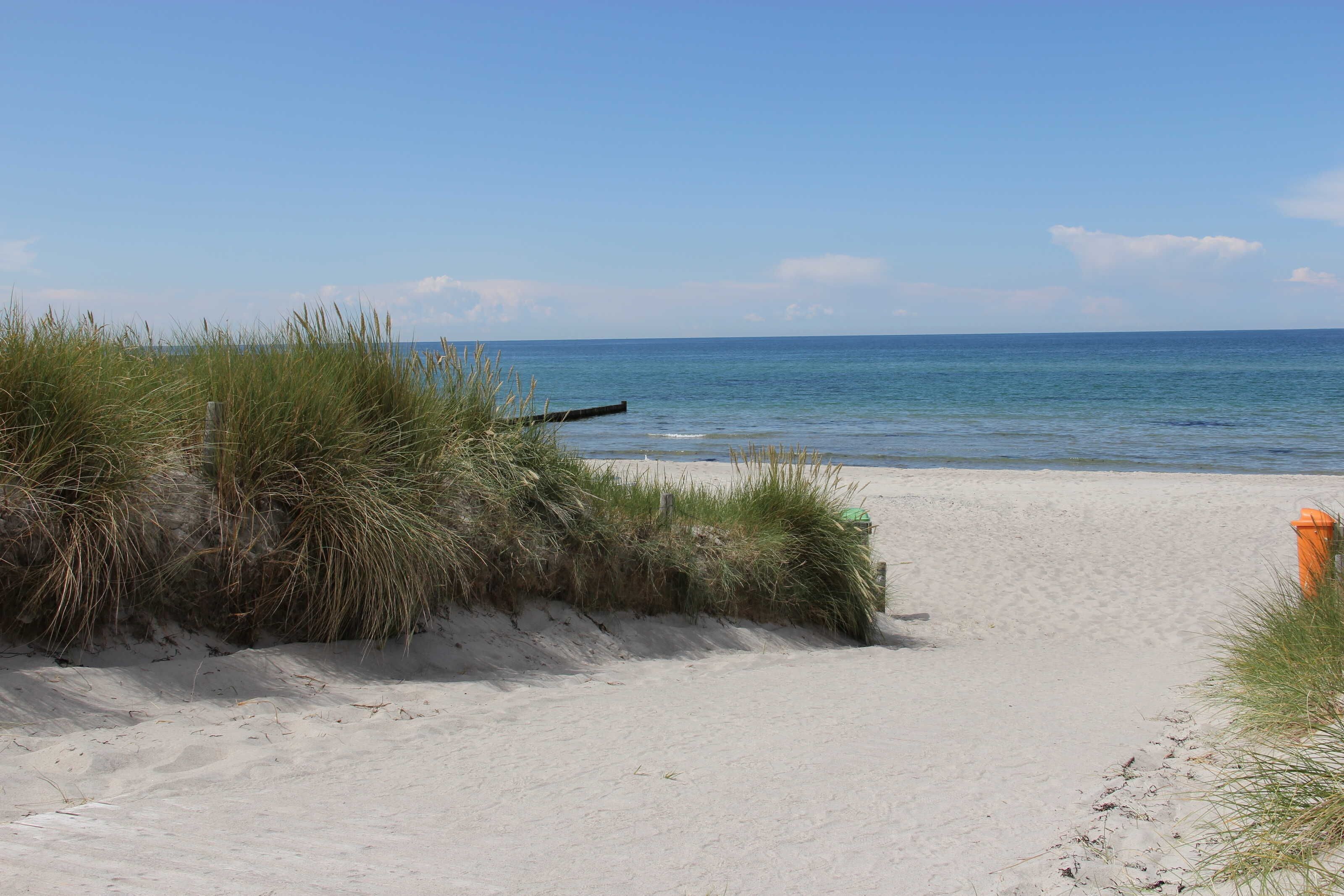 Une plage de sable avec de l’herbe et un poteau en bois.
