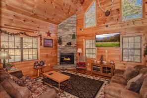 Fireplace, DVD player