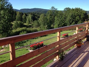 Terrace/patio - L'Eden De Floridylle (Xonrupt-Longemer)