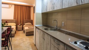 Studio for 3 (Ground floor 2) | Private kitchen | Fridge - De Lux Apartments Luka (Bar)