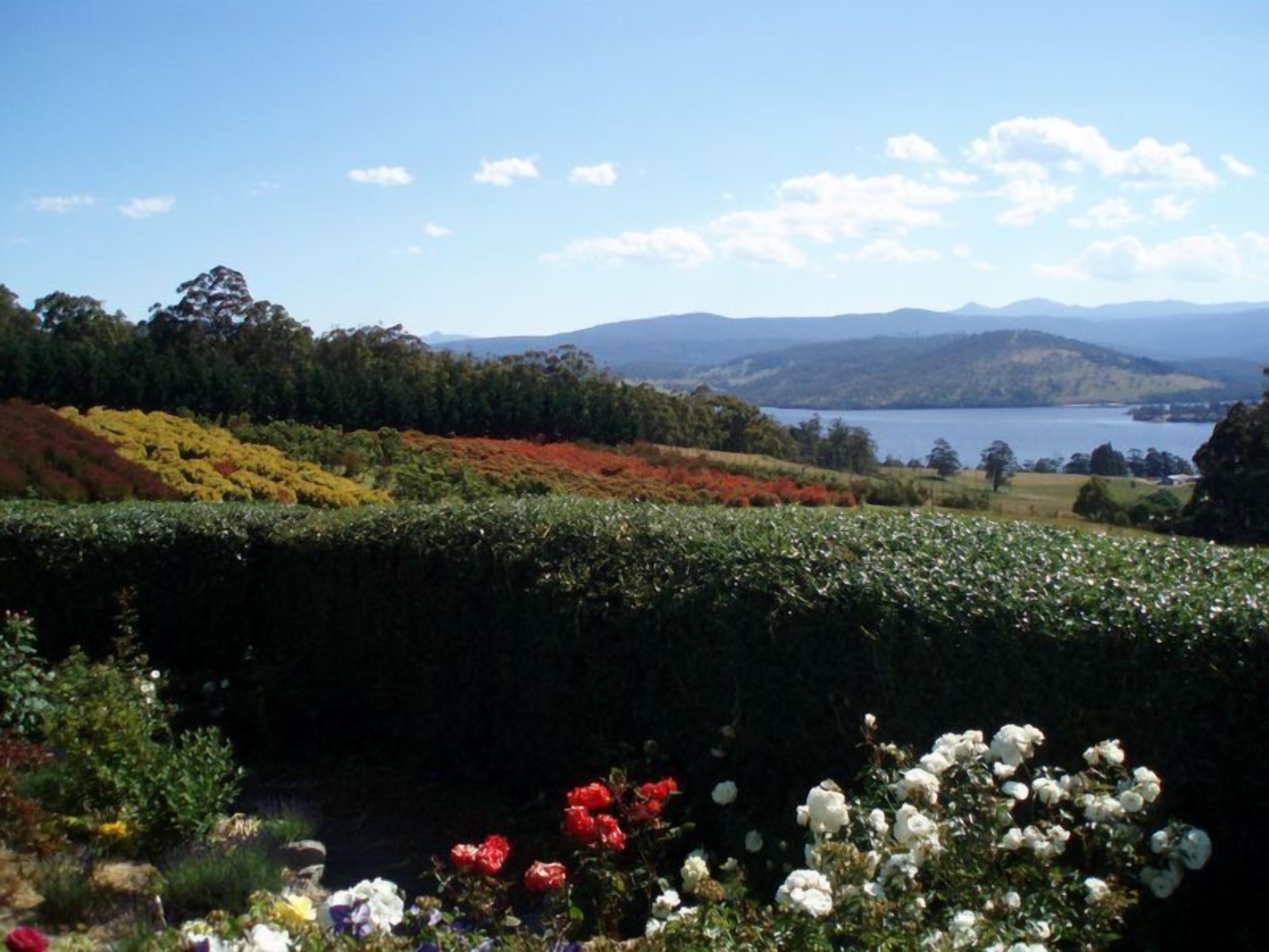 Windflowers Farmhouse B & B — image 20