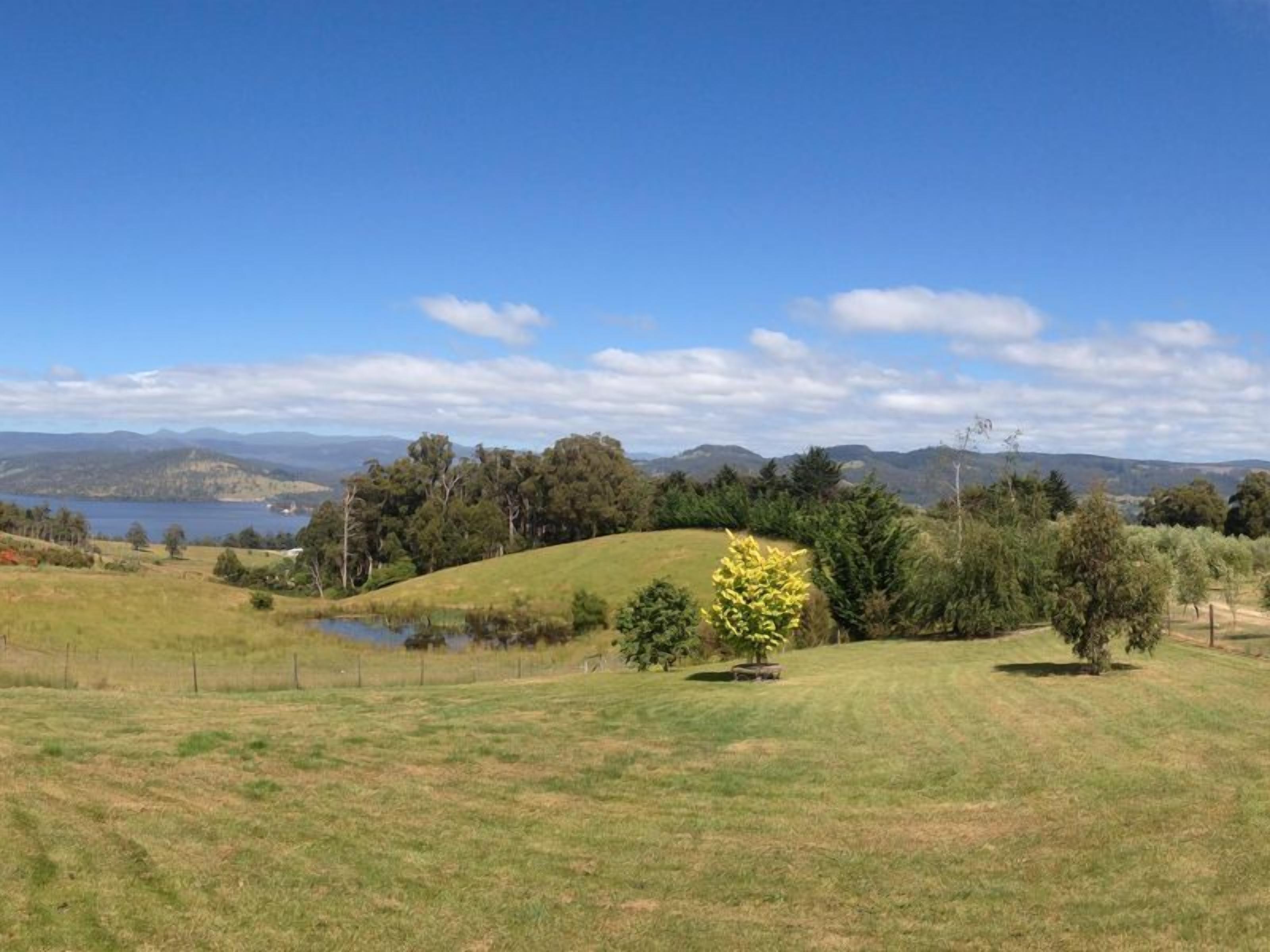 Windflowers Farmhouse B & B — image 22