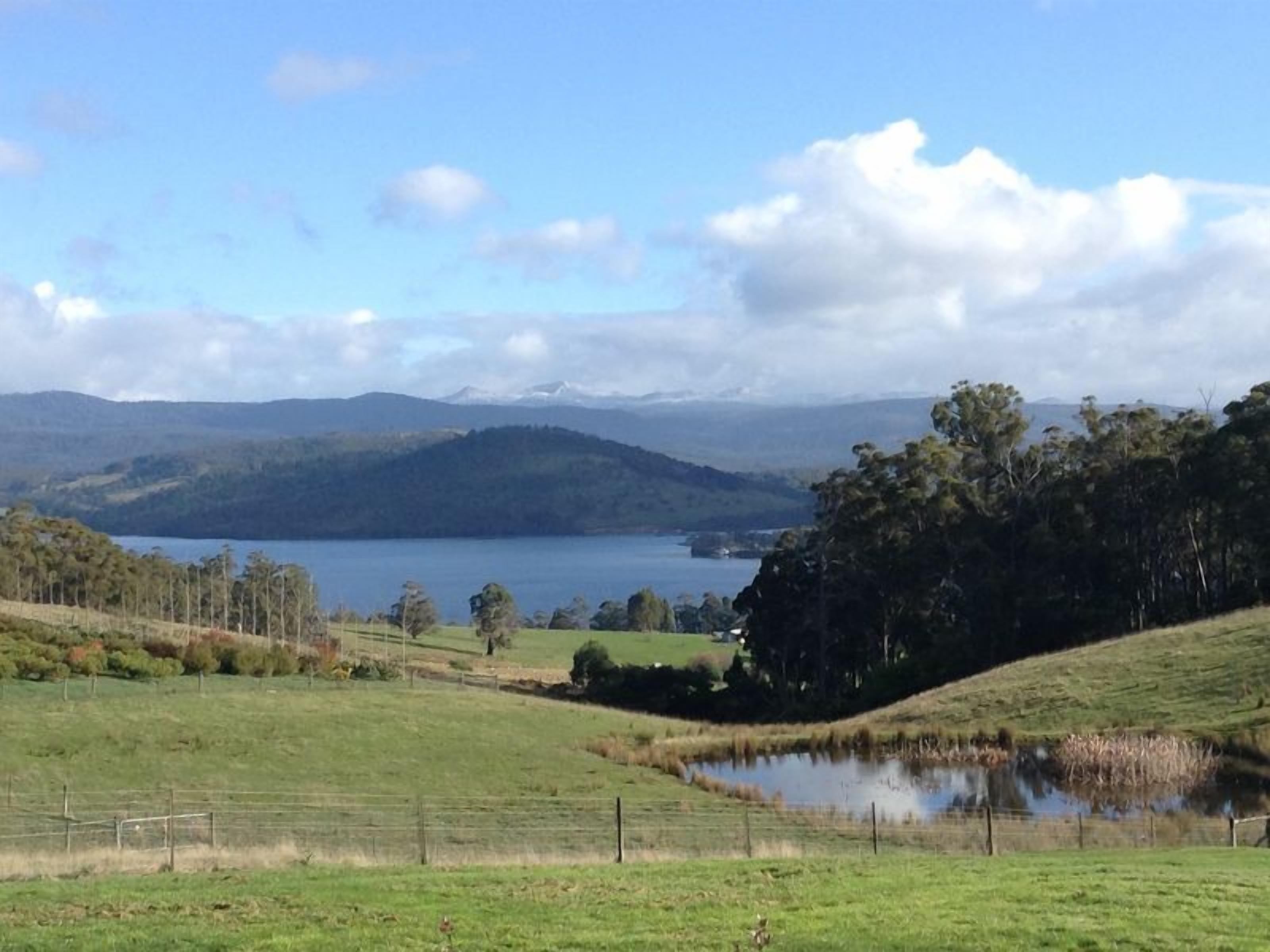 Windflowers Farmhouse B & B — image 19