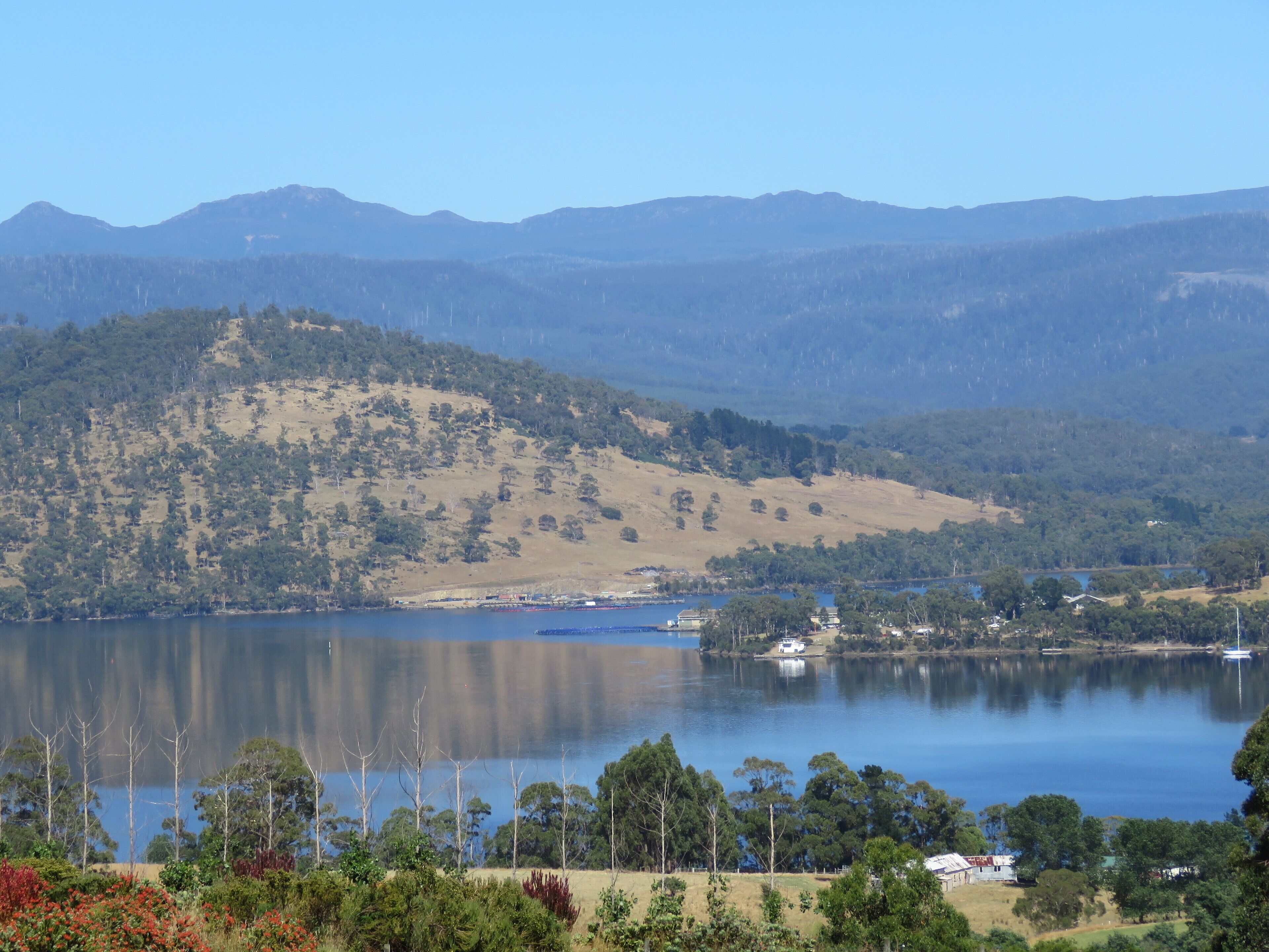 Windflowers Farmhouse B & B — image 5