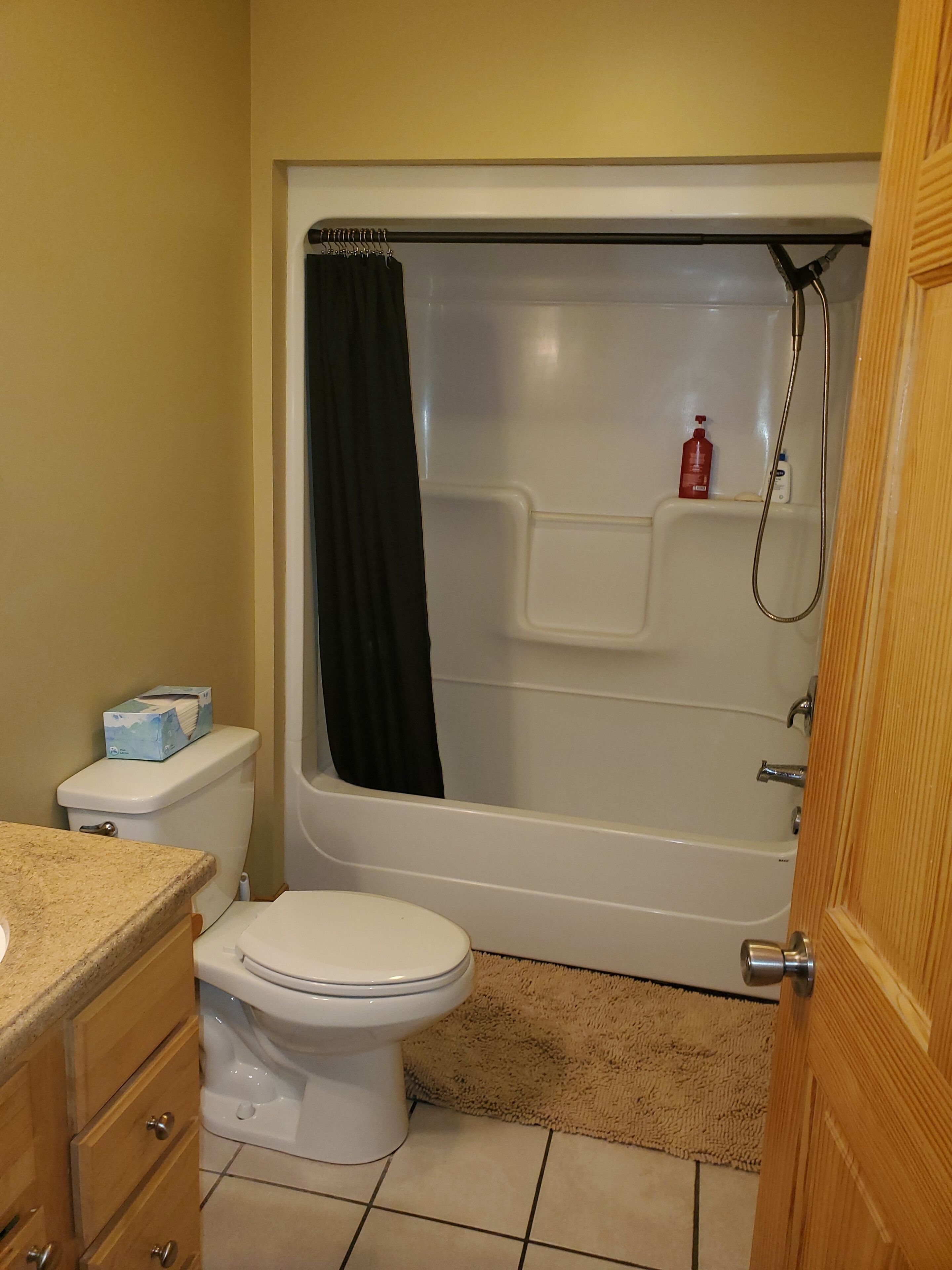 A bathroom with a toilet, a bathtub with a shower head, and a wooden door.