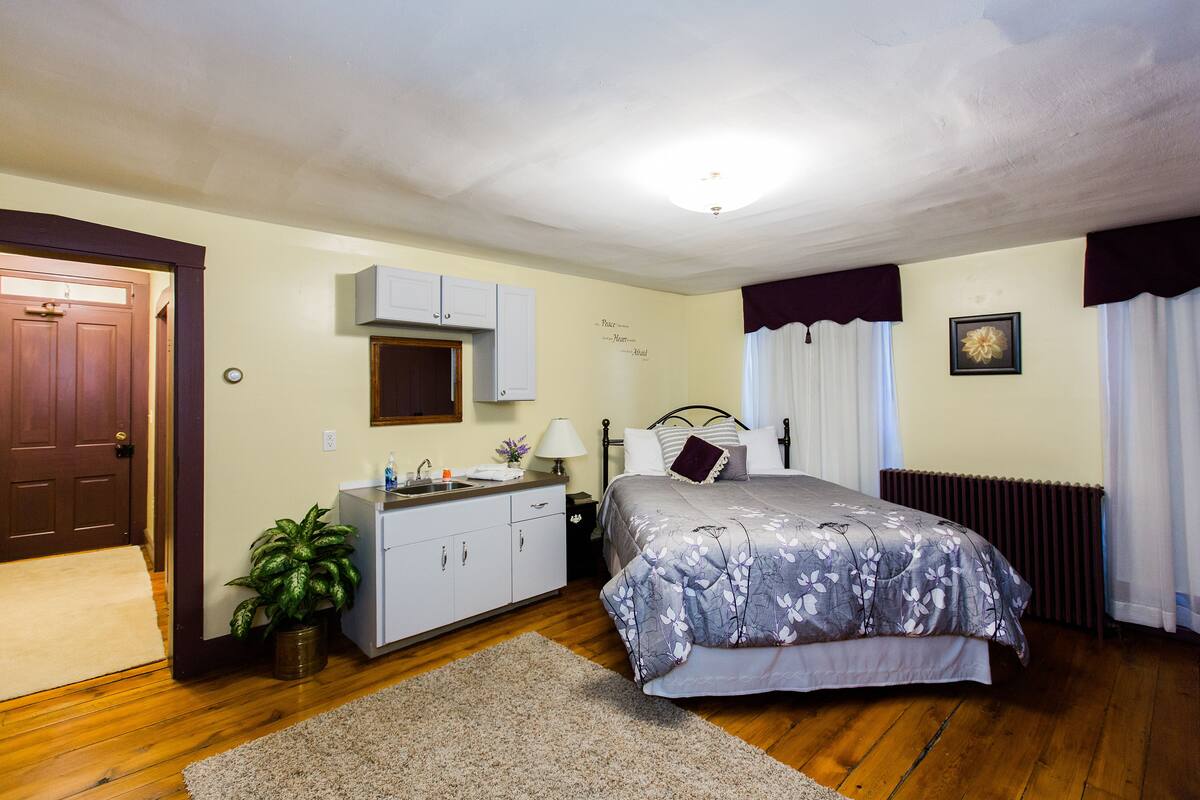 Une chambre à coucher avec un lit, une table de chevet, une commode, une plante en pot et une porte.