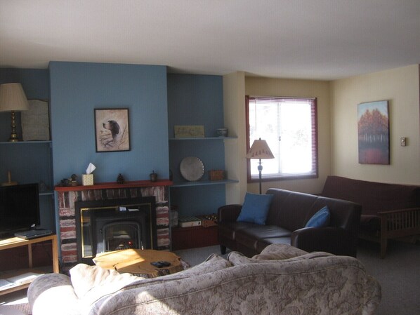 Televisión, reproductor de DVD y videoteca 