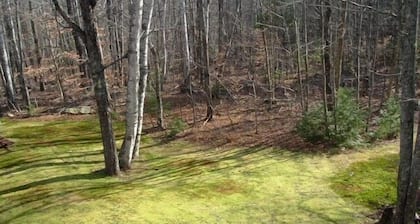 Cozy Retreat, Hot tub, Wireless,Close to Kezar Lake, abuts White Mountains