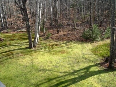 Cozy Retreat, Hot tub, Wireless,Close to Kezar Lake, abuts White Mountains
