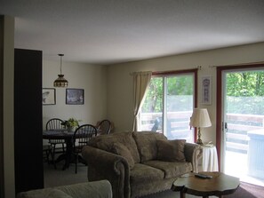 TV, DVD player, video library