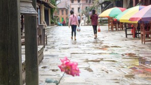 Eine Straße mit nassen Kopfsteinpflastersteinen, Holzhäusern und bunten Regenschirmen.