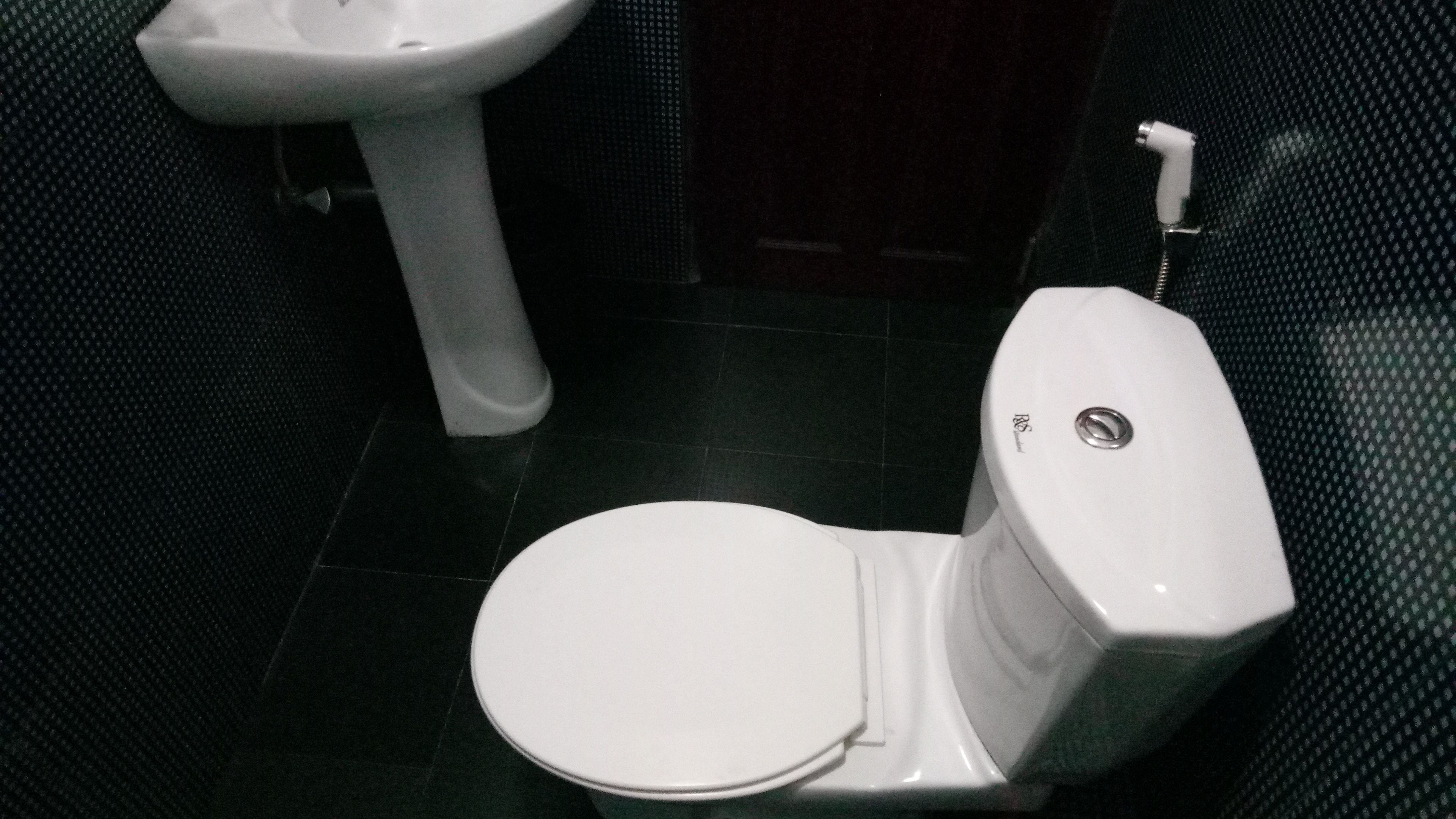 A toilet with a white seat and tank, a bidet attachment, and a pedestal sink in a bathroom with dark patterned walls.