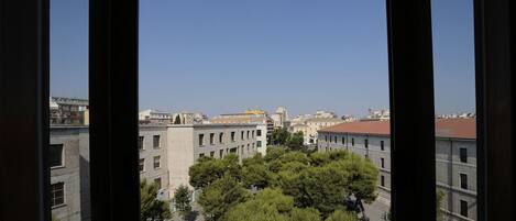 Vista desde la propiedad