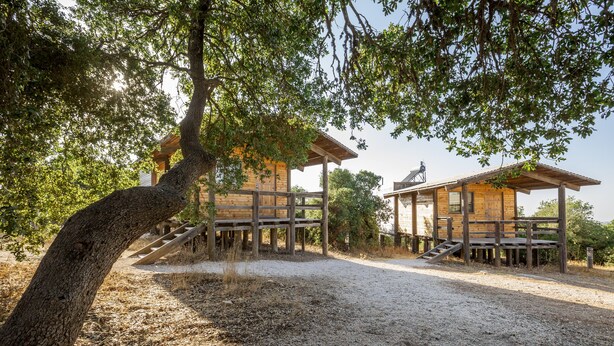 A rustic wooden cabin with a dirt path leading to it, surrounded by trees. - Ajloun cabins (Ajloun)
