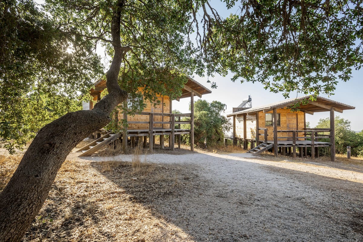 Une cabane en bois rustique, accessible par un sentier de terre, et entourée d’arbres.