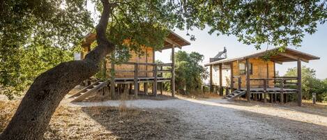 Economy Cabin | Wheelchair access