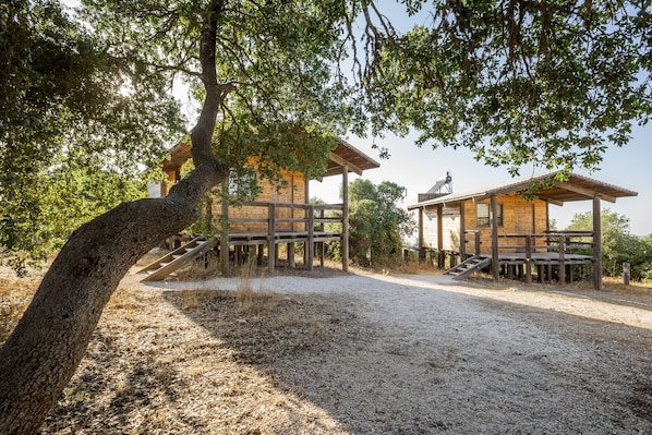 Acceso para silla de ruedas