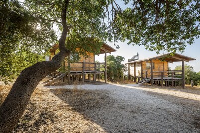 Ajloun cabins