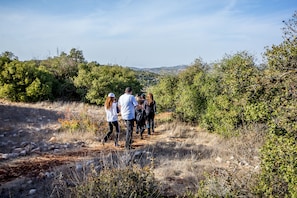 Hiking