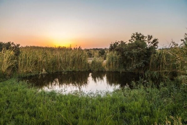 Hiking - Azraq Lodge (Azraq)