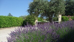 A garden with lavender bushes and a stone wall. - MONTAUROUX 30MN OF CANNES APARTMENT CONDITIONING TERRACE GARDEN PRIVATE POOL (Montauroux)