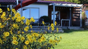 A house with a red roof, a covered porch, and a lawn. - Newly renovated holiday home in the Bavarian Forest (Schöfweg)