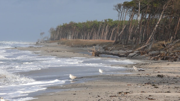 Strand