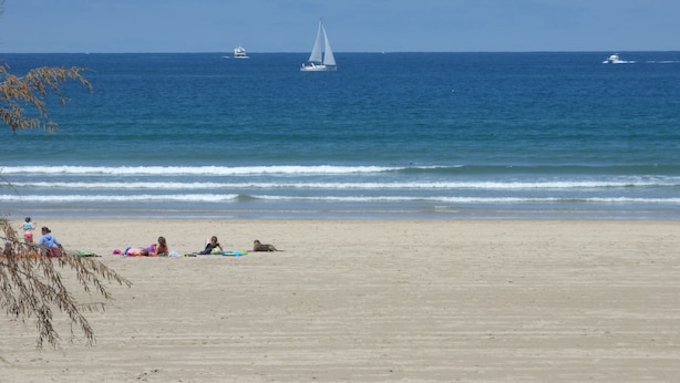 A beach with a sailboat in the distance, people relaxing on the sand, and a clear view of the ocean. - Appartment Ihi-Toki, sunny garden apartment in a breathtaking location (Saint-Pée-sur-Nivelle)