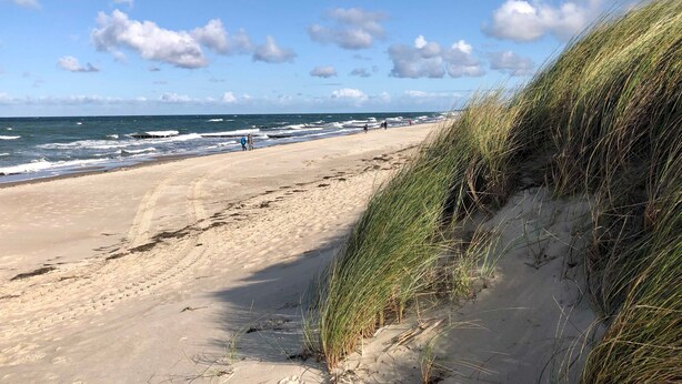 Une plage avec du sable, des vagues et de l’herbe.