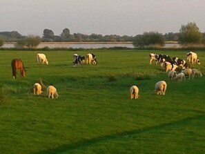 Photo non classée, 3 sur 26, bouton