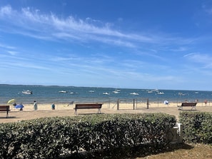 A beach with benches, a hedge, and boats on the water.