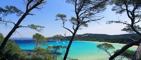 Una spiaggia nelle vicinanze